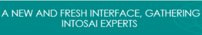 A New and Fresh Interface, gathering INTOSAI Experts