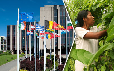 Building of Institutional Capacity and Promoting Good Governance – The Importance of a Development Focus