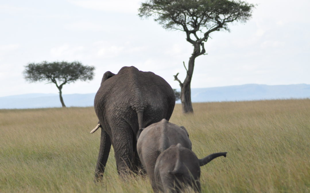 Cape Town Attractions