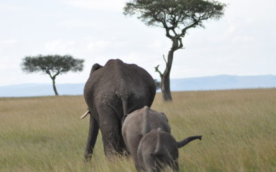 Cape Town Attractions