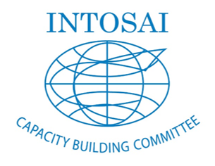 INTOSAI Capacity Building Committee