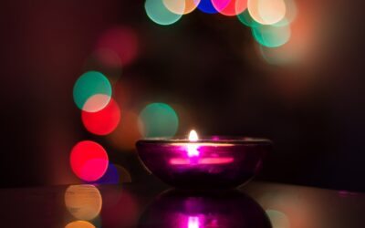 PASAI Festive Season Newsletter
