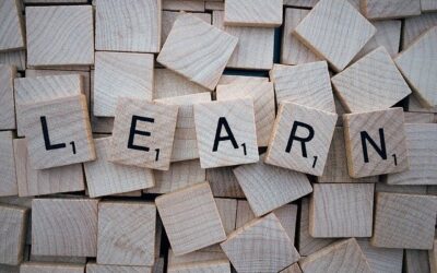 Accountability in a time of crisis
