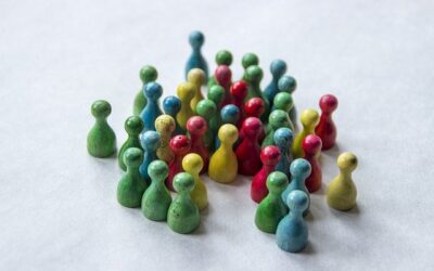 Double CBC webinar on SAI-civil society cooperation and citizen engagement  – recording and ppt