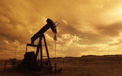 Launch of online course: how to audit government’s performance in managing oil and gas contracts