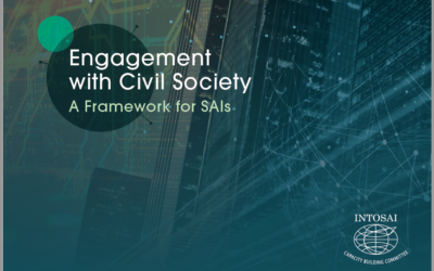SAI-civil society engagement framework now available