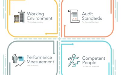 PASAI blog: Human resources a vital pillar of professional SAIs