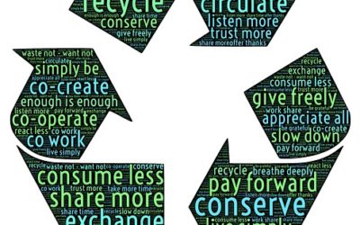 Towards INCOSAI: Motion on sustainable, inclusive, and economical INTOSAI operations