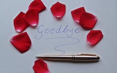 Farewell from CBC vice chair Helena Lindberg