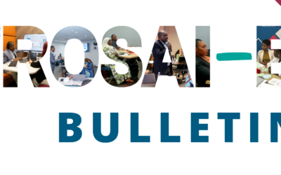 AFROSAI-E Bulletin no. 4 2024