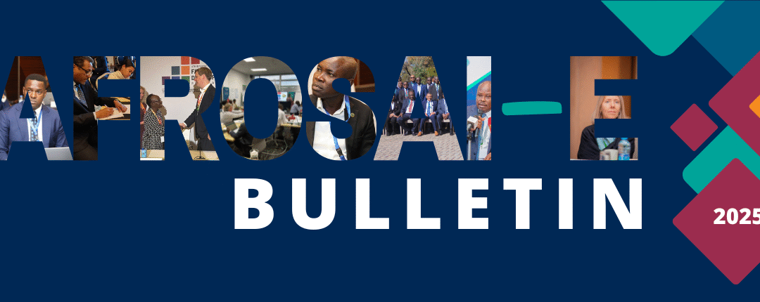 AFROSAI-E Bulletin no. 2 of 2025