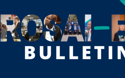 AFROSAI-E Bulletin no. 2 of 2025