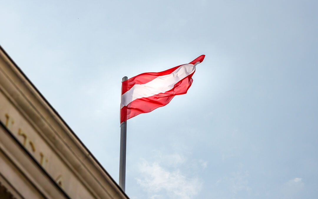 Joys and Woes: Peer Reviews at Austrian Court of Audit (ACA)