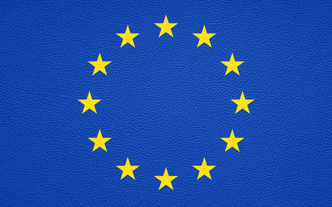 Reinforcing professionalism and accountability The European Court of Auditors (ECA)