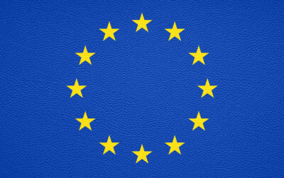 Reinforcing professionalism and accountability The European Court of Auditors (ECA)