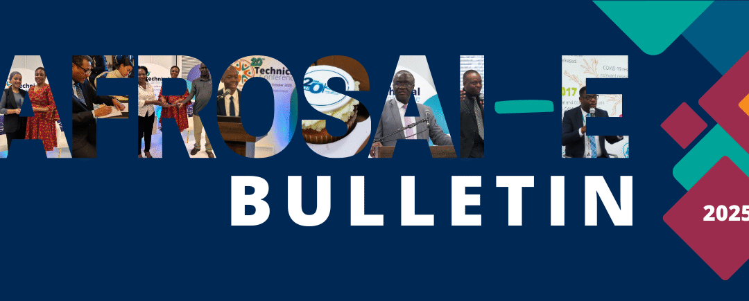 AFROSAI-E Bulletin no 4 2025