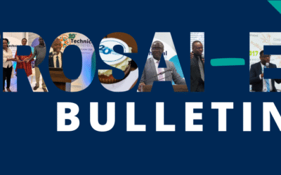AFROSAI-E Bulletin no 4 2025