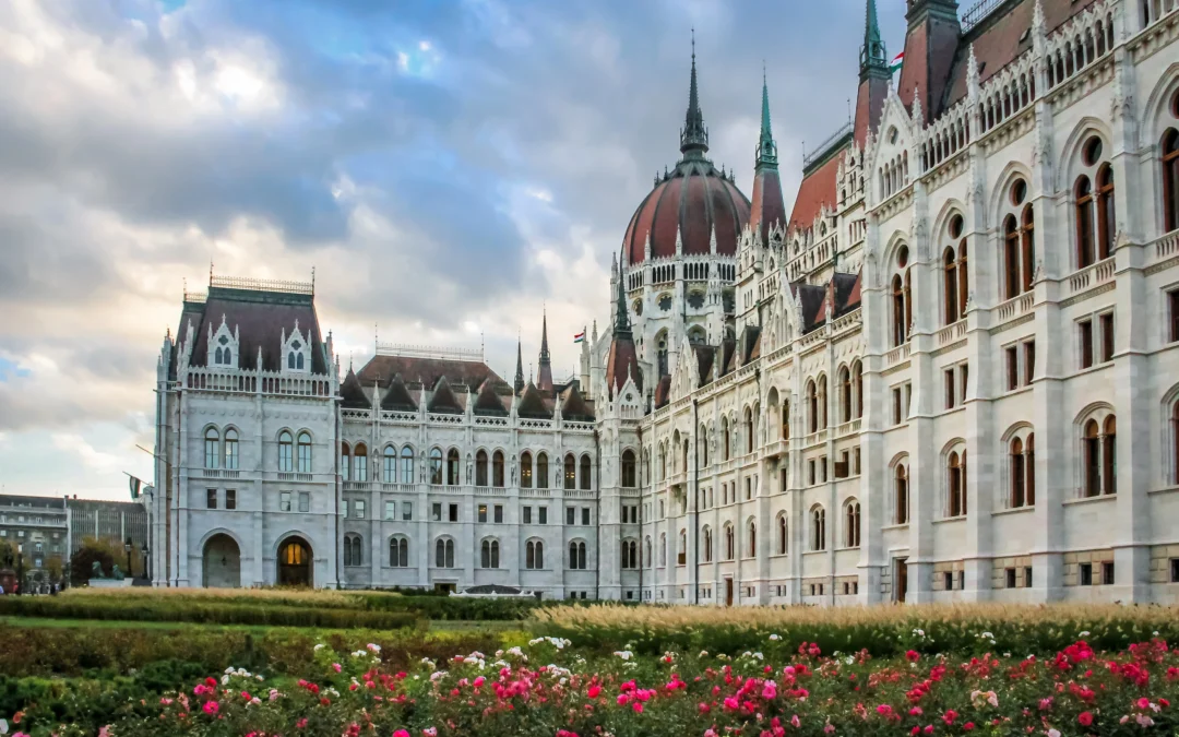 Conducting Peer Review During Emergency – Insights on Remote Peer Review Success from the SAO of Hungary