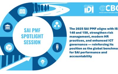 Recording available: CBC-IDI spotlight webinar on the revised SAI PMF