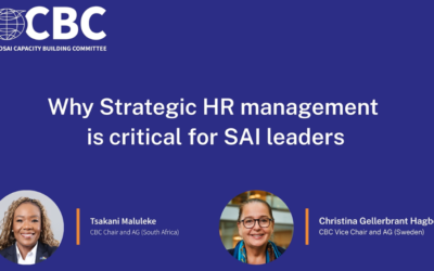 Building stronger SAIs by recognising the value of strategic HR management