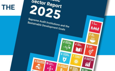 UNDESA webinar: launch of World Public Sector Report 2025