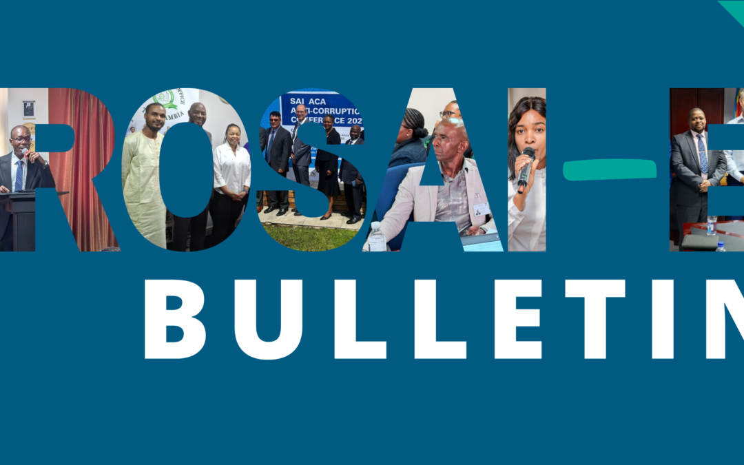 AFROSAI-E Bulletin no 1 2026 now available