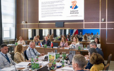 Thematic Workshop on Peer Review Fieldwork: Strengthening Institutions Through Peer  Review and Professional Exchange